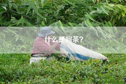什么是阿茶？