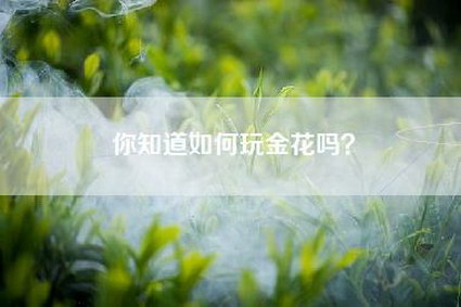 你知道如何玩金花吗？