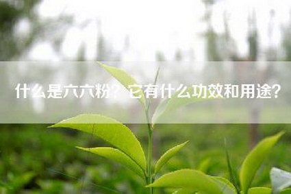 什么是六六粉？它有什么功效和用途？