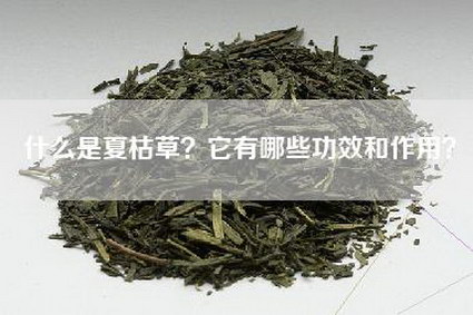 什么是夏枯草？它有哪些功效和作用？