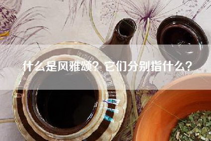 什么是风雅颂？它们分别指什么？