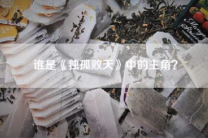 谁是《独孤败天》中的主角？