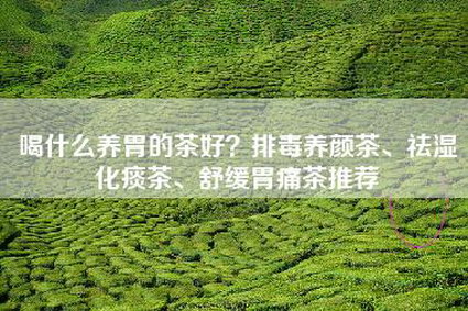 喝什么养胃的茶好？排毒养颜茶、祛湿化痰茶、舒缓胃痛茶推荐
