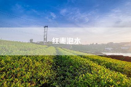 红枣泡水