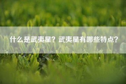 什么是武夷星？武夷星有哪些特点？