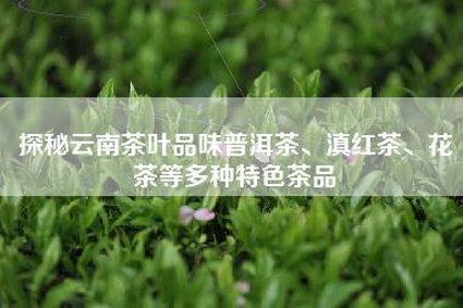 探秘云南茶叶品味普洱茶、滇红茶、花茶等多种特色茶品