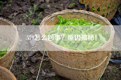 579怎么回事？原因揭秘！