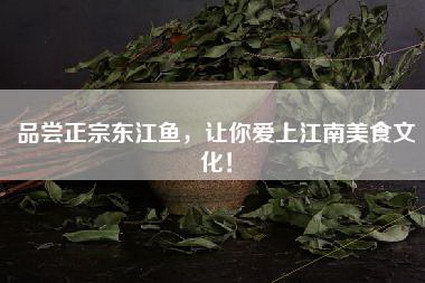 品尝正宗东江鱼，让你爱上江南美食文化！