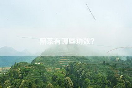 黑茶有哪些功效？