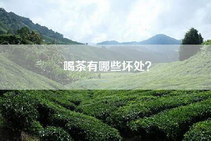喝茶有哪些坏处？