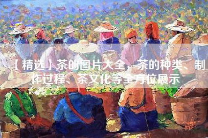 【精选】茶的图片大全，茶的种类、制作过程、茶文化等全方位展示