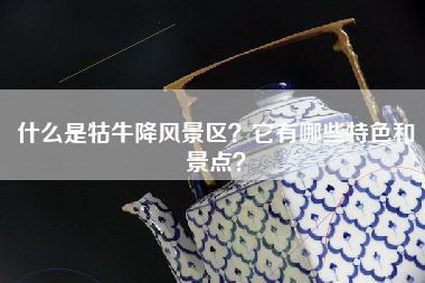 什么是牯牛降风景区？它有哪些特色和景点？