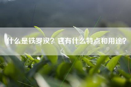 什么是铁罗汉？它有什么特点和用途？