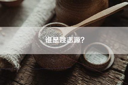 谁是姚志源？