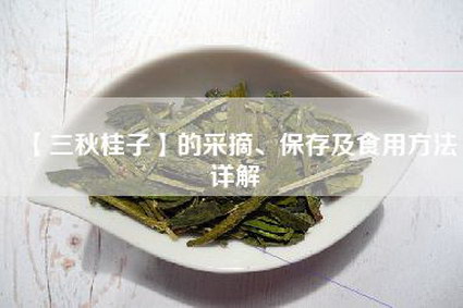 【三秋桂子】的采摘、保存及食用方法详解