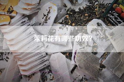 茉莉花有哪些功效？