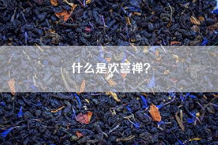 什么是欢喜禅？