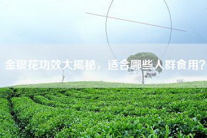 金银花功效大揭秘，适合哪些人群食用？