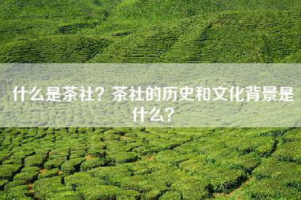 什么是茶社？茶社的历史和文化背景是什么？