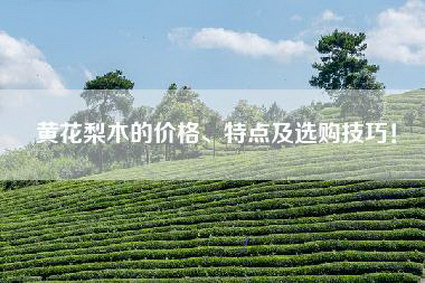 黄花梨木的价格、特点及选购技巧！