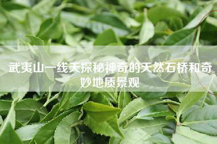 武夷山一线天探秘神奇的天然石桥和奇妙地质景观