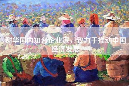 谢华国内知名企业家，致力于推动中国经济发展