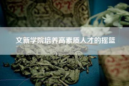 文新学院培养高素质人才的摇篮