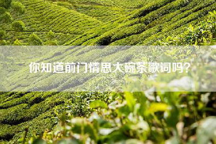 你知道前门情思大碗茶歌词吗？