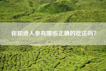 你知道人参有哪些正确的吃法吗？