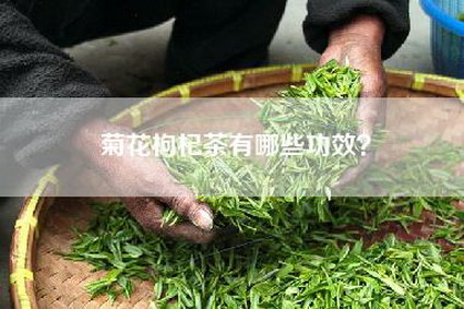 菊花枸杞茶有哪些功效？