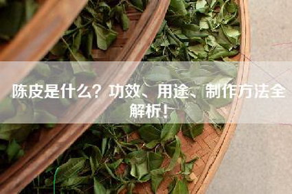 陈皮是什么？功效、用途、制作方法全解析！