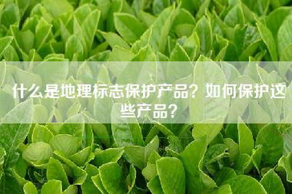 什么是地理标志保护产品？如何保护这些产品？