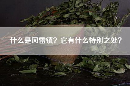 什么是风雷镇？它有什么特别之处？