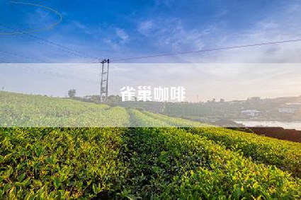 雀巢咖啡
