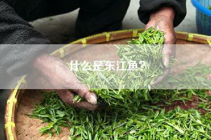 什么是东江鱼？