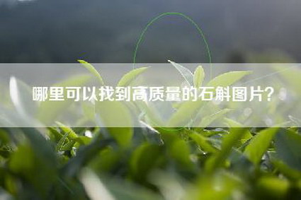 哪里可以找到高质量的石斛图片？