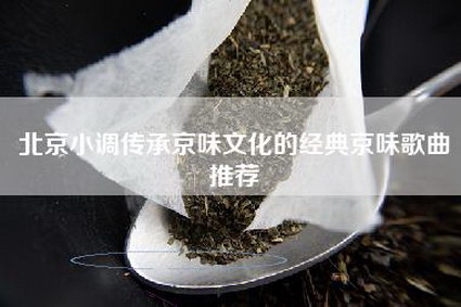 北京小调传承京味文化的经典京味歌曲推荐