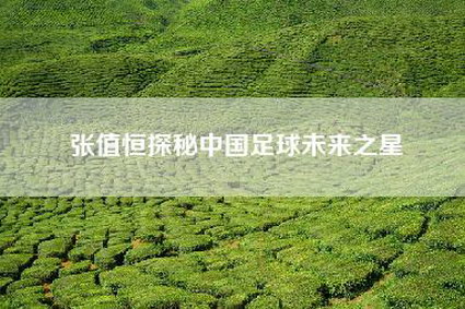 张值恒探秘中国足球未来之星