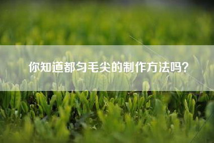 你知道都匀毛尖的制作方法吗？