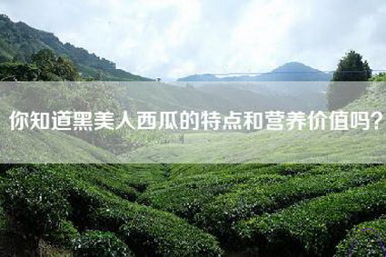 你知道黑美人西瓜的特点和营养价值吗？