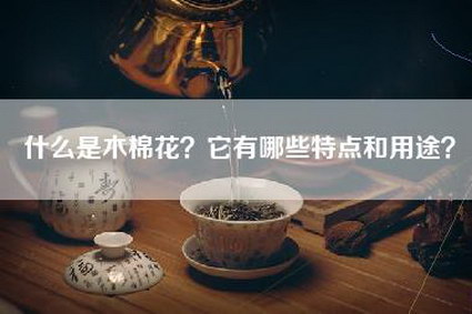 什么是木棉花？它有哪些特点和用途？