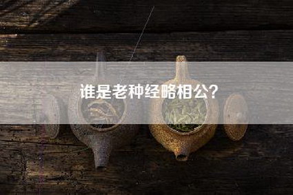 谁是老种经略相公？