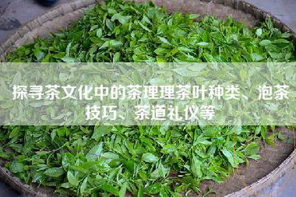 探寻茶文化中的茶理理茶叶种类、泡茶技巧、茶道礼仪等