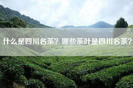 什么是四川名茶？哪些茶叶是四川名茶？