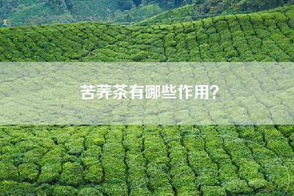 苦荞茶有哪些作用？