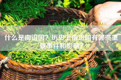 什么是南诏国？历史上南诏国有哪些重要事件和影响？