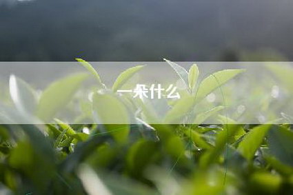 一朵什么