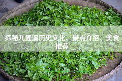 探秘九鲤溪历史文化、景点介绍、美食推荐