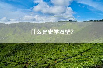 什么是史学双壁？