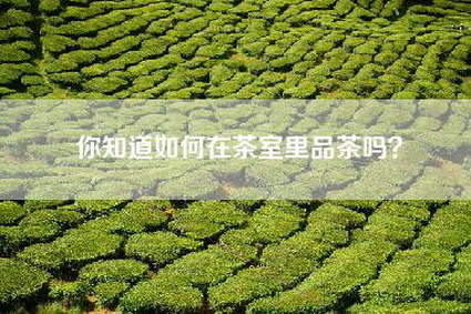 你知道如何在茶室里品茶吗？